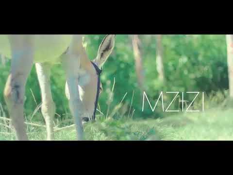 TOFA BOY - Mzizi (Official Music Video)