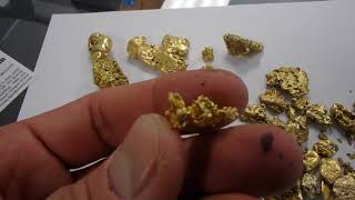 Learn How to Buy Gold Nuggets and Make Great Money