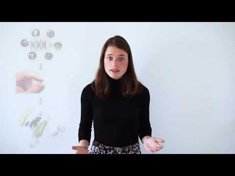 EUSIPCO 2021 3MT Winner: Zuzana Jelcicova