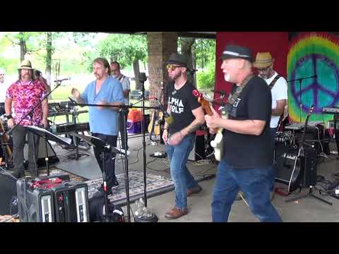 Hollywood Vampires - I Got A line On You - Neighborhood Picnic Band 2019