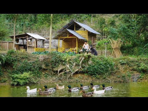 CEO Trieu Dan's green farm welcomes new, beautiful members.