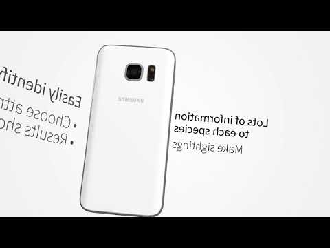 All Birds Ecuador - A Sunbird Field Guide Video