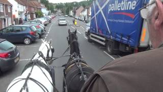 preview picture of video 'Driving a welsh cob in a pair - Captain Jack in harness.'