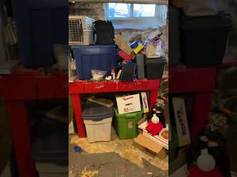 60 Swanton Street, Winchester, MA