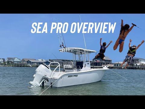 2022 Sea Pro 239 DLX Walk-through - Thinking of buying a SEA PRO BOAT