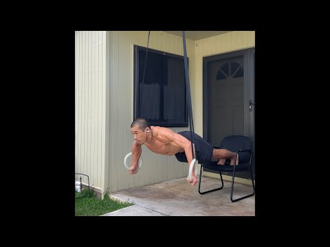Day 252 FitPro Hawaii Workout - Ring Push Ups + Pull Ups- January 22, 2021 1:59 pm