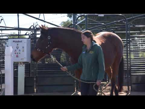 Meet our Legends: Silent Witness