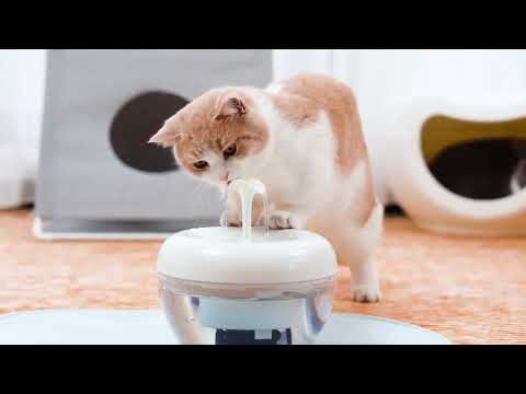 Фонтанчик для кота PAWOOF 1,5 л с фильтром, Белый - фото 1 - id-p1069312191