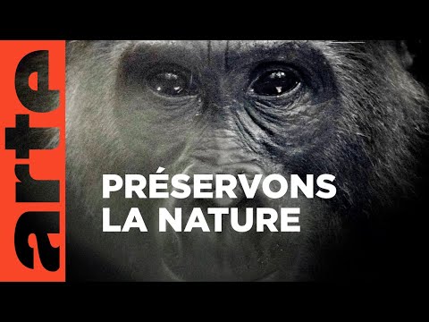 Bonnes nouvelles de la planète | ARTE