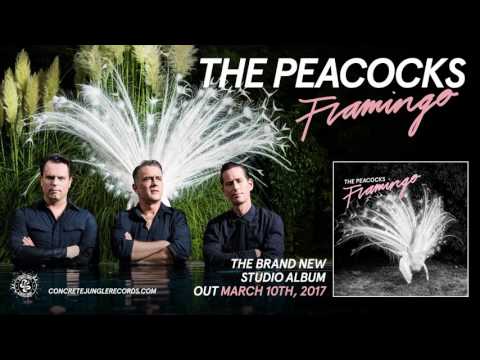 The Peacocks - Vain (Album Track) - Concrete Jungle Records