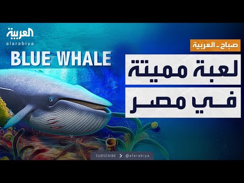 فيديو | صباح العربية | لعبة مميتة تثير الهلع في مصر