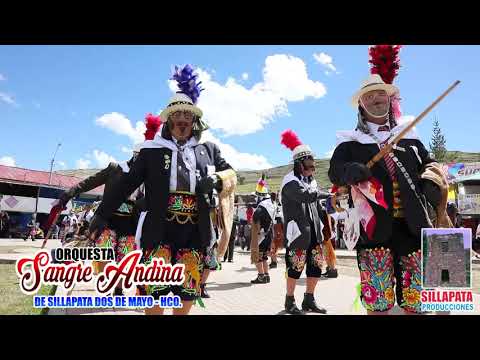 Orquesta Sangre Andina de Sillapata - Tarde te Valore - Tunantada 2021