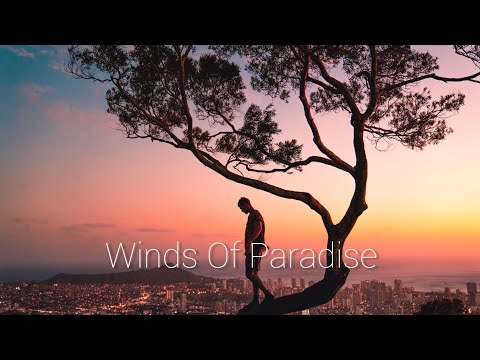 Taoufik - Winds Of Paradise