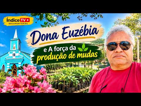 Dona Euzébia   Onde a terra vira vida na força da produção de mudas