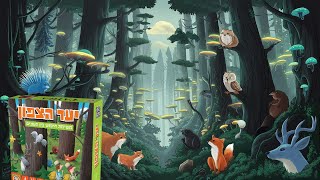 יער הצפון - משחק זיכרון מאתגר משימת חיפוש בין העצים