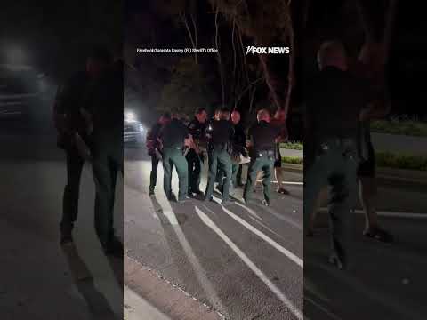 LATER GATOR: A 14-foot, 600-pound alligator brought traffic to a halt in Florida