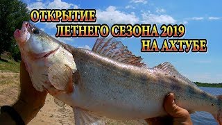 Рыбалка в июне 2019 на ахтубе