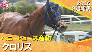 クロリスが逃げ切って快勝！西村淳也騎手「一生懸命頑張ってくれました」2026年6月13日(土)２歳新馬　阪神ダート1400m　実況：服部優陽【カンテレ公式】