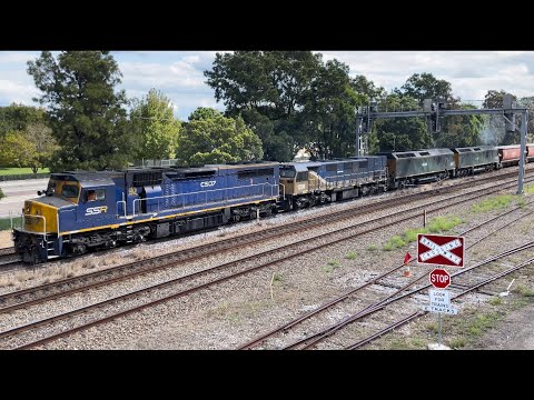 SSR C507, 1201, RL301 & RL307 at Maitland - 18/4/23