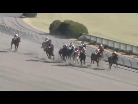 2022 Hyacinth Stakes (La Perouse)