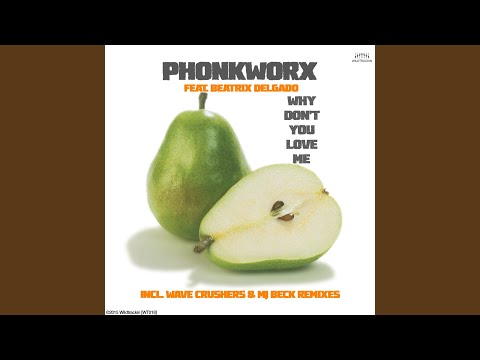 Why Don't You Love Me (Mj Beck Remix)