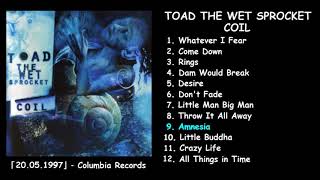 TOAD THE WET SPROCKET — Coil【preview】