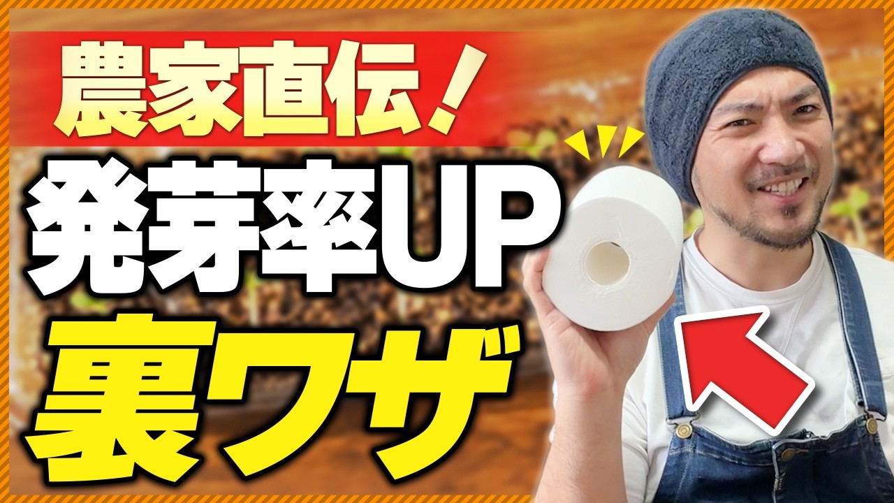 【発芽しない原因5つ】知らないと損！トイレットペーパーと卵パックで発芽率あげる簡単な方法