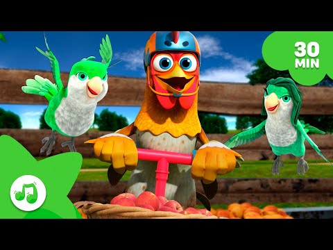 Songs, Animals and Fun | Zenon's Farm 👨🏻‍🌾 Children's Compilation [30 min] Portuguese