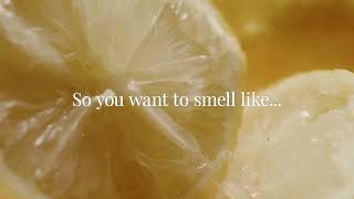 Sephora New & Now Fragrances