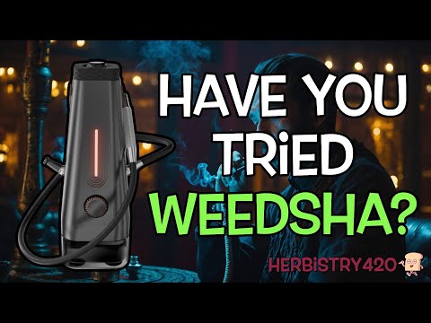 What is Weedsha: 5 Best Reasons to Try the Enso Shisha