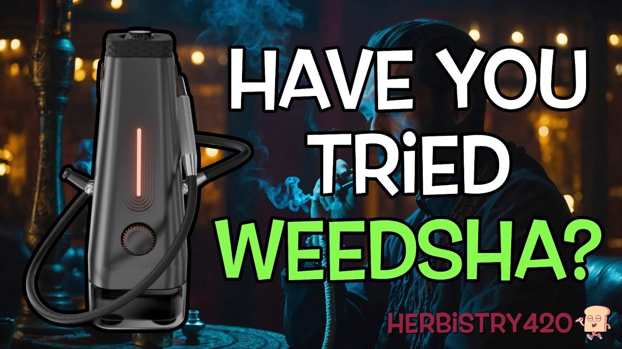 What is Weedsha: 5 Best Reasons to Try the Enso Shisha