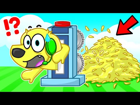 THIS GRINDER SHREDS ANYTHING!