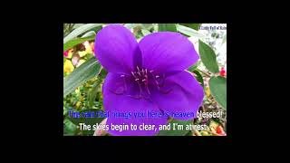 Alain Boublil - Les Miserables - A little fall of rain -==Karaoke–Videoke  - Playback
