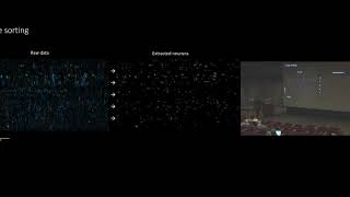 03-21-19 High-dimensional problems in neuroscience