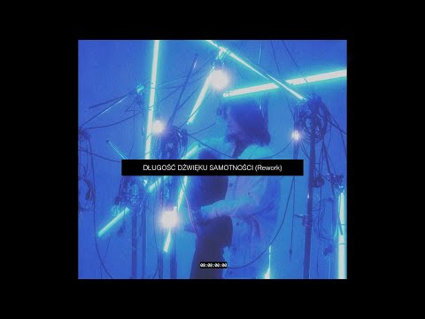 Wiktoria Zwolińska - Długość dźwięku samotności (Rework)