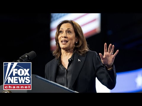 Kamala Harris is going to run in 2028, Dem strategist predicts