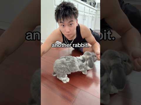 Subscribe for my animals!!! #pets