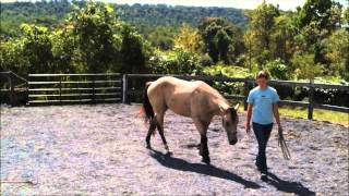 [we've come so far since that day...