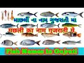Fish Names In Gujarati मछली का नाम गुजरती में માછલી �