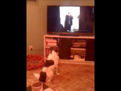 Timi peva uz Dragicu Nestorovic Popovic