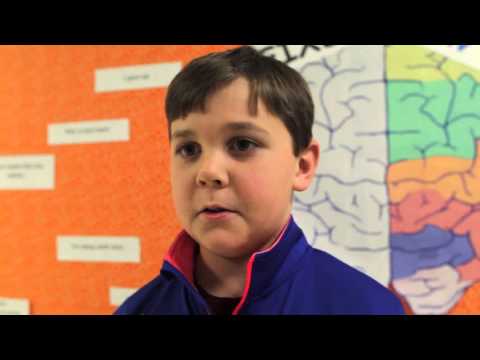 Springfield Spelling Bee Champion Noah Perrin