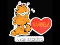 Amor Secreto
