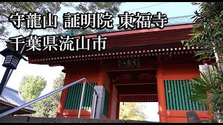 【千葉のお寺】守龍山 証明院 東福寺【千葉県流山市 B級スポット】