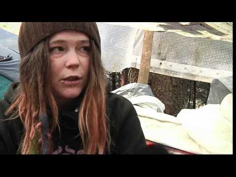 Zoff um wilde Camper im Bremgartenwald, TeleBärn