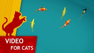 Cat Games - Pond Full of Fish (Cat video for big screens)