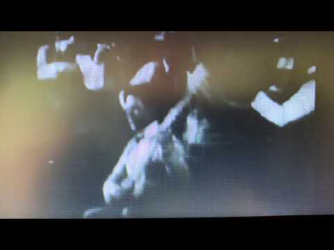 Rudolph Valentino  Tango