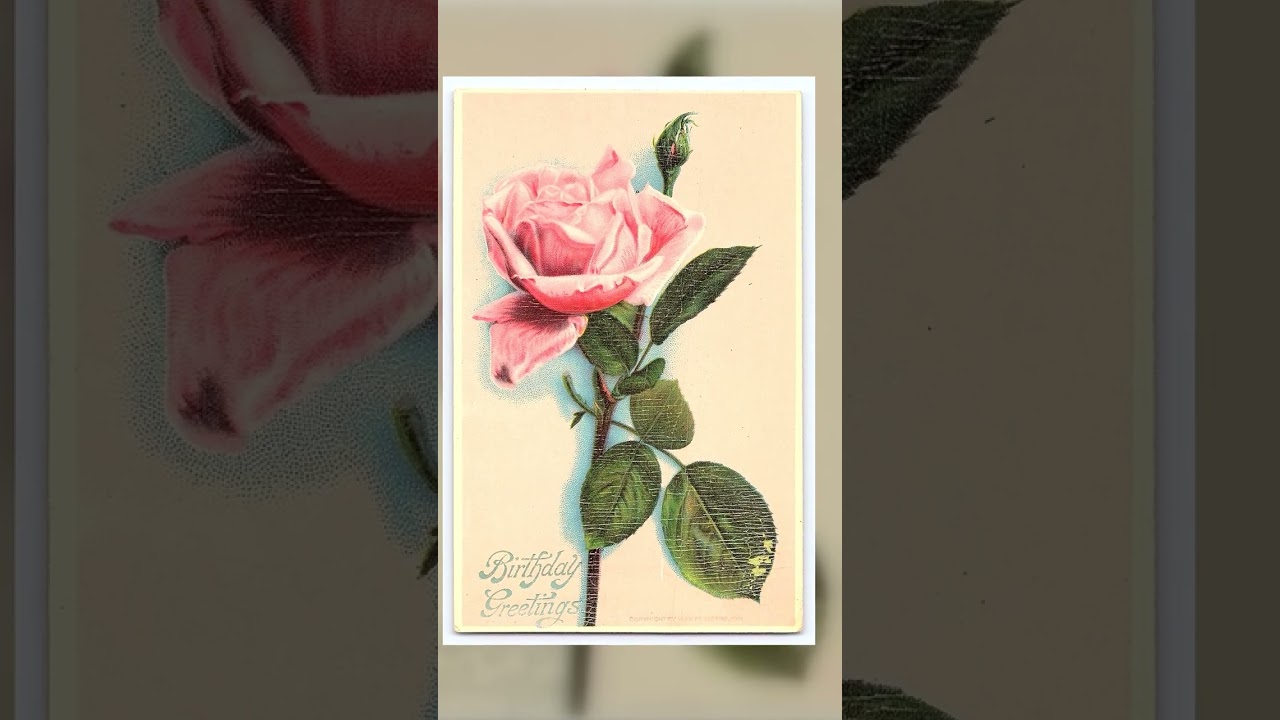 M.B. Postcard, Linen, Pink Rose Birthday Greetings, 1910s Video
