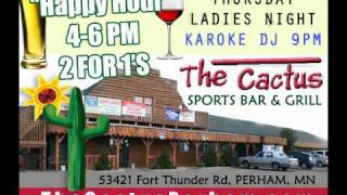 preview picture of video 'the cactus perham sports bar & grill, perham mn'