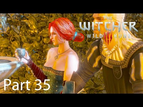 The Witcher 3 Walkthrough Part 35: Brothers in Arms Novigrad