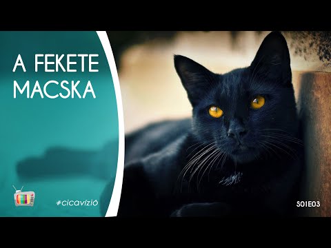 A fekete macskák | s01e03 | 🐈‍⬛  🎃  😻  🧙‍♀️